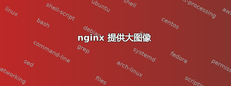 nginx 提供大图像