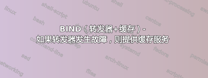 BIND（转发器+缓存）- 如果转发器发生故障，则提供缓存服务