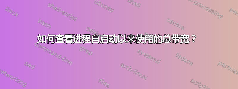 如何查看进程自启动以来使用的总带宽？