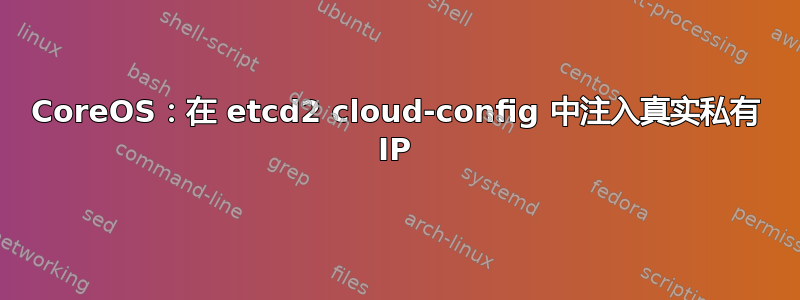 CoreOS：在 etcd2 cloud-config 中注入真实私有 IP