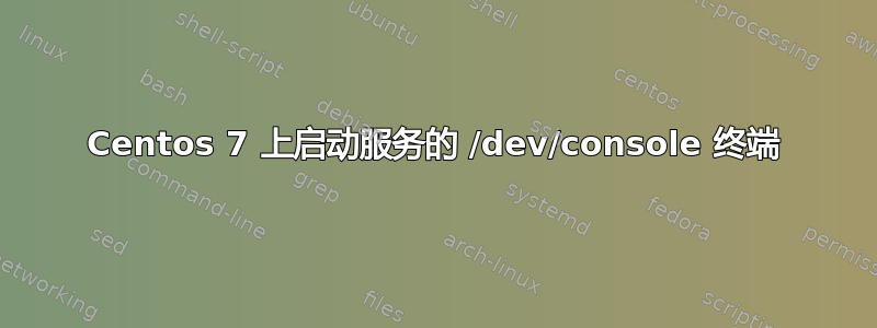 Centos 7 上启动服务的 /dev/console 终端