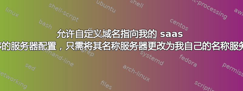 允许自定义域名指向我的 saas 应用程序的服务器配置，只需将其名称服务器更改为我自己的名称服务器即可