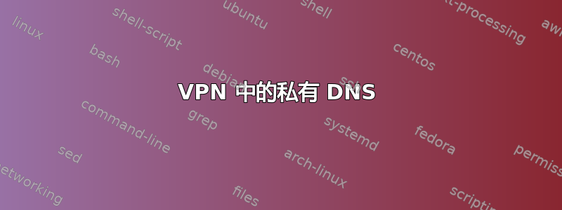 VPN 中的私有 DNS