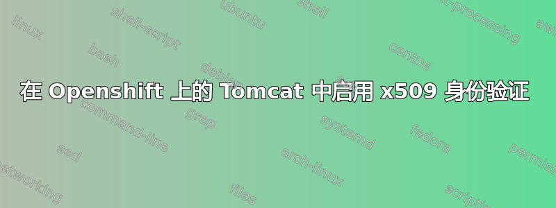 在 Openshift 上的 Tomcat 中启用 x509 身份验证