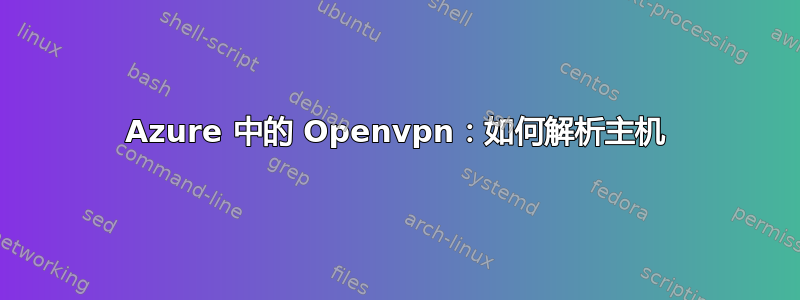 Azure 中的 Openvpn：如何解析主机