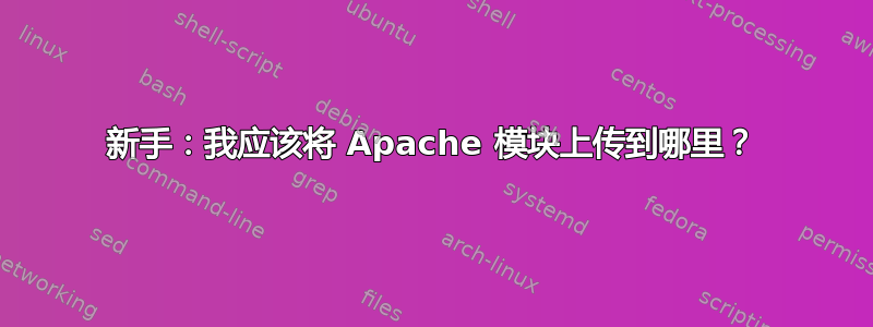 新手：我应该将 Apache 模块上传到哪里？