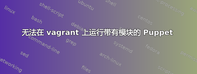 无法在 vagrant 上运行带有模块的 Puppet