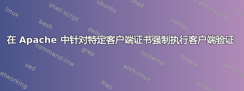 在 Apache 中针对特定客户端证书强制执行客户端验证