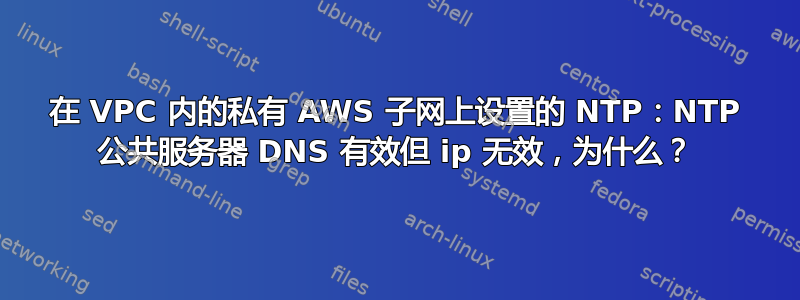 在 VPC 内的私有 AWS 子网上设置的 NTP：NTP 公共服务器 DNS 有效但 ip 无效，为什么？