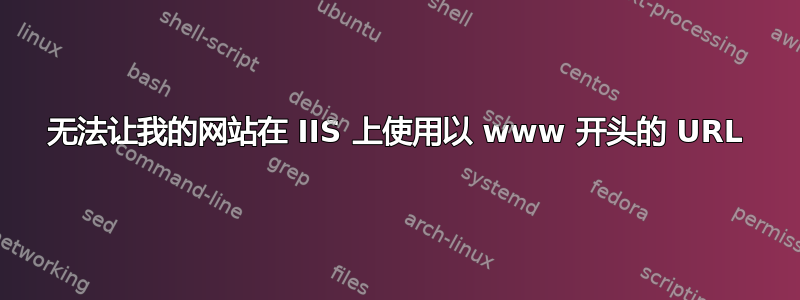 无法让我的网站在 IIS 上使用以 www 开头的 URL