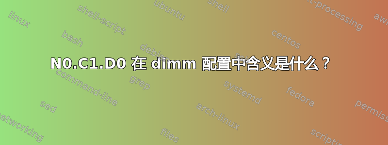 N0.C1.D0 在 dimm 配置中含义是什么？