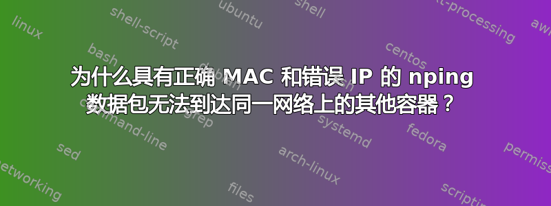 为什么具有正确 MAC 和错误 IP 的 nping 数据包无法到达同一网络上的其他容器？