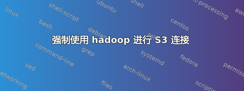 强制使用 hadoop 进行 S3 连接