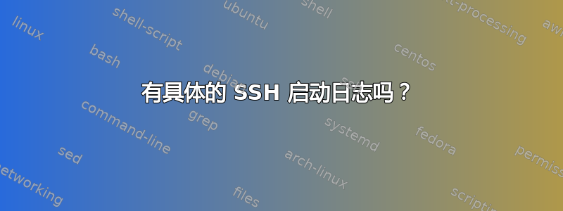 有具体的 SSH 启动日志吗？