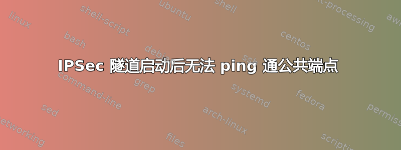 IPSec 隧道启动后无法 ping 通公共端点