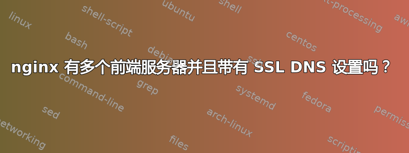 nginx 有多个前端服务器并且带有 SSL DNS 设置吗？