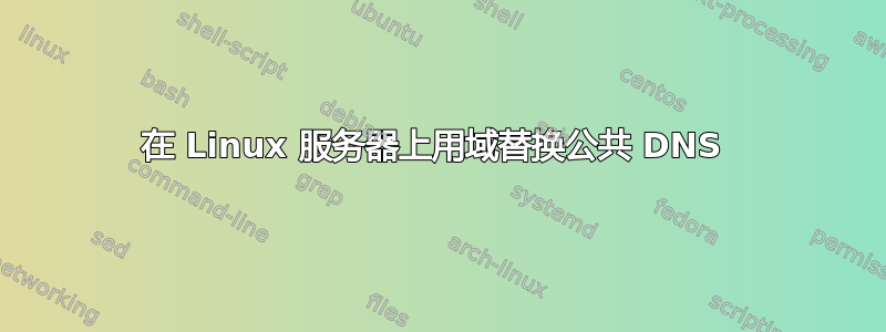 在 Linux 服务器上用域替换公共 DNS 