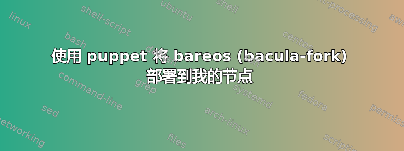 使用 puppet 将 bareos (bacula-fork) 部署到我的节点