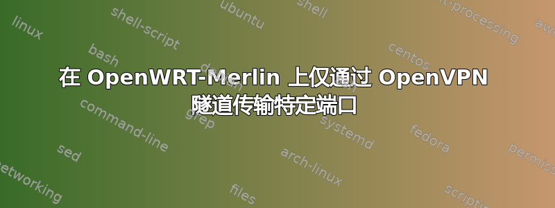 在 OpenWRT-Merlin 上仅通过 OpenVPN 隧道传输特定端口