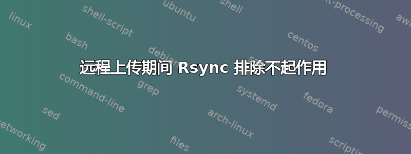 远程上传期间 Rsync 排除不起作用