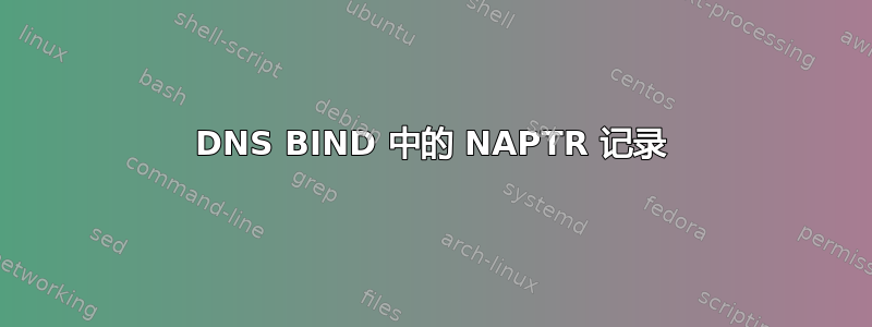 DNS BIND 中的 NAPTR 记录