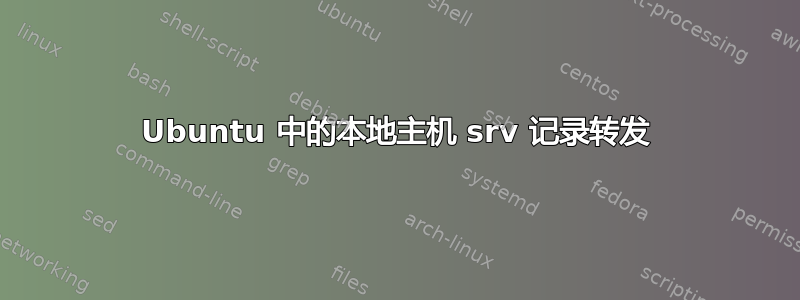 Ubuntu 中的本地主机 srv 记录转发