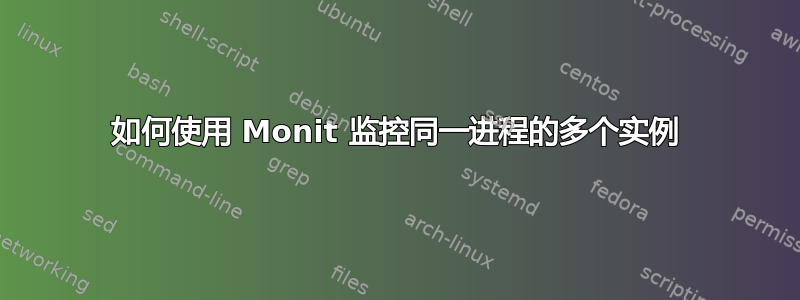 如何使用 Monit 监控同一进程的多个实例