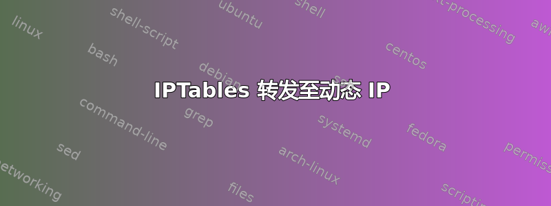 IPTables 转发至动态 IP