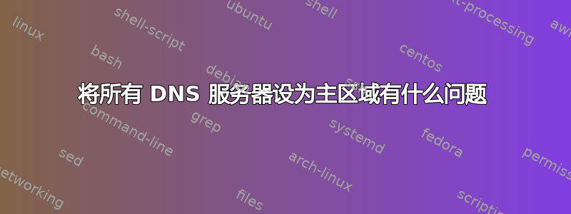 将所有 DNS 服务器设为主区域有什么问题