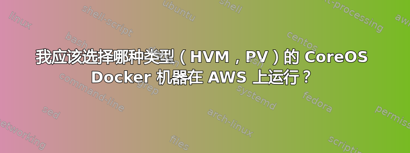 我应该选择哪种类型（HVM，PV）的 CoreOS Docker 机器在 AWS 上运行？