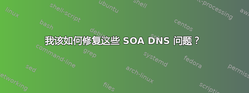 我该如何修复这些 SOA DNS 问题？