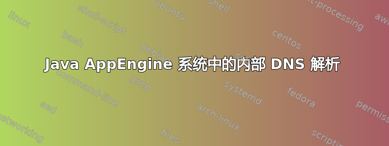 Java AppEngine 系统中的内部 DNS 解析