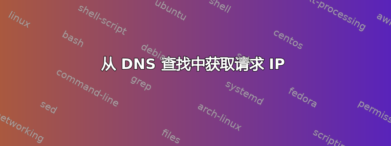 从 DNS 查找中获取请求 IP