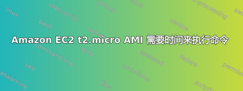 Amazon EC2 t2.micro AMI 需要时间来执行命令