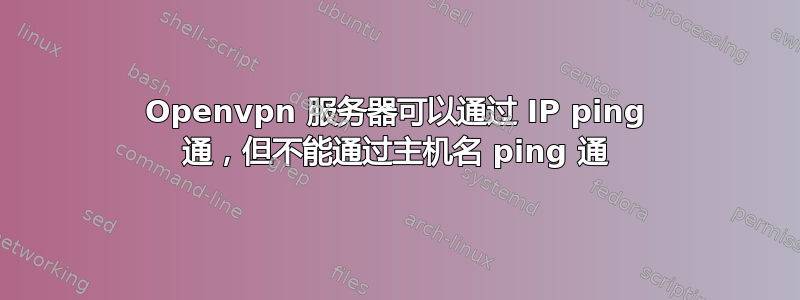 Openvpn 服务器可以通过 IP ping 通，但不能通过主机名 ping 通