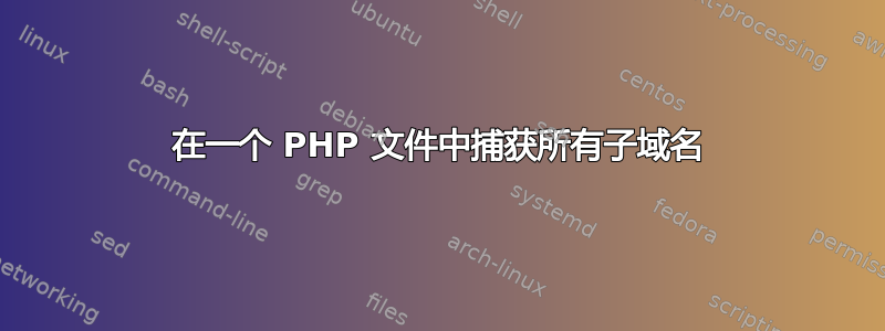 在一个 PHP 文件中捕获所有子域名