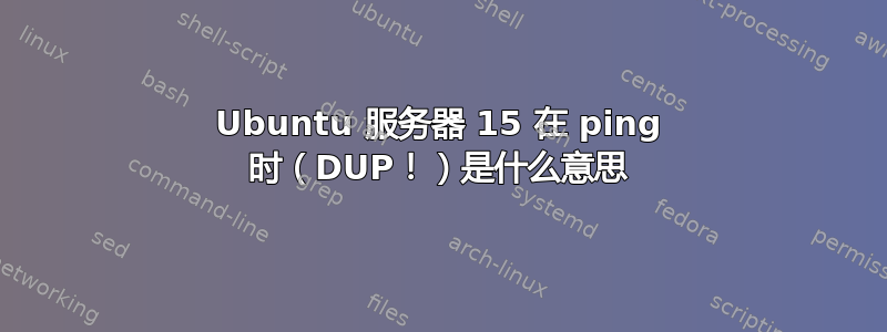 Ubuntu 服务器 15 在 ping 时（DUP！）是什么意思