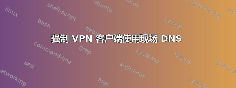 强制 VPN 客户端使用现场 DNS