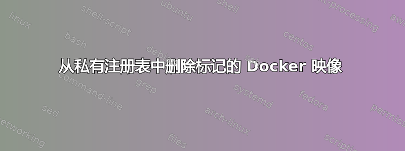 从私有注册表中删除标记的 Docker 映像