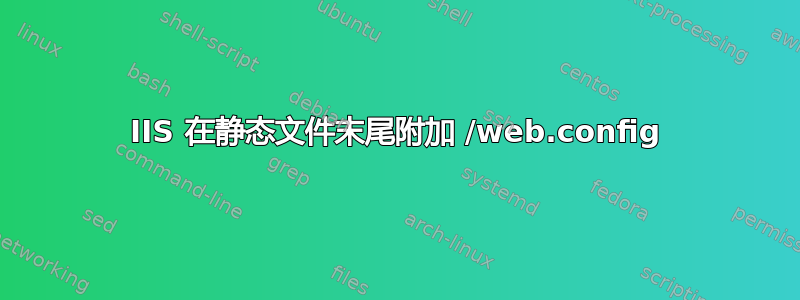 IIS 在静态文件末尾附加 /web.config