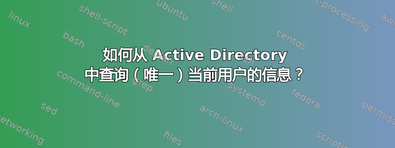 如何从 Active Directory 中查询（唯一）当前用户的信息？