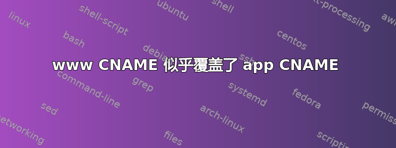 www CNAME 似乎覆盖了 app CNAME