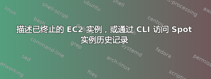 描述已终止的 EC2 实例，或通过 CLI 访问 Spot 实例历史记录