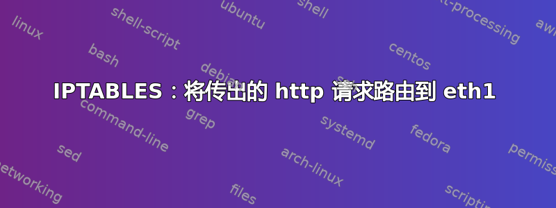 IPTABLES：将传出的 http 请求路由到 eth1