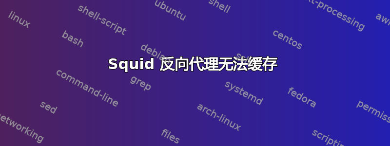 Squid 反向代理无法缓存