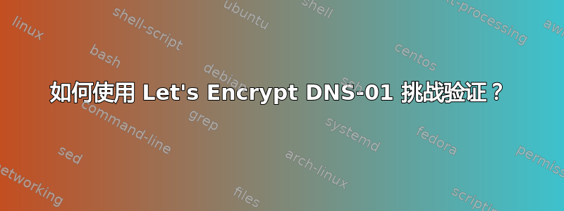 如何使用 Let's Encrypt DNS-01 挑战验证？