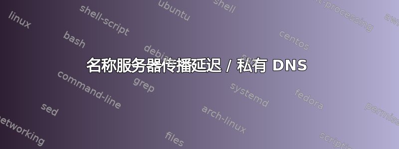 名称服务器传播延迟 / 私有 DNS