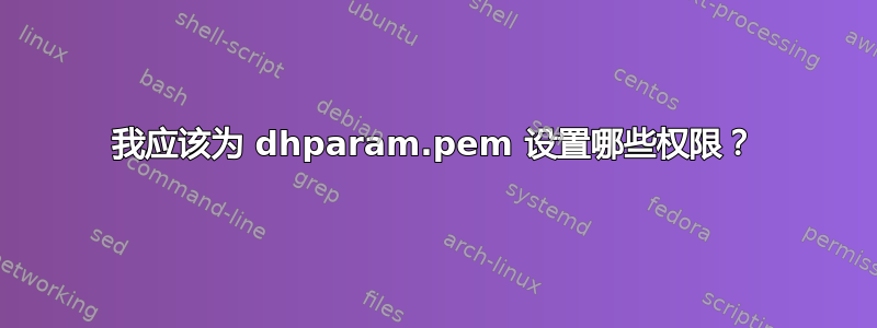 我应该为 dhparam.pem 设置哪些权限？