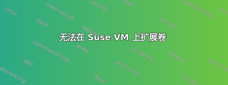 无法在 Suse VM 上扩展卷