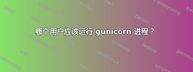 哪个用户应该运行 gunicorn 进程？